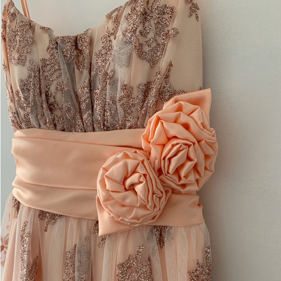 Gorgeous Sparkly Peach Dress - Picture 3 of 5